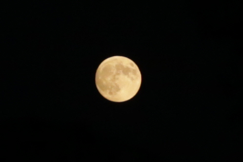 s-moon1.jpg